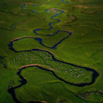 Mendereslerin Kalbinde