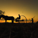 Bir Zamanlar Anadolu'da